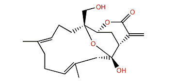 Durumhemiketalolide A